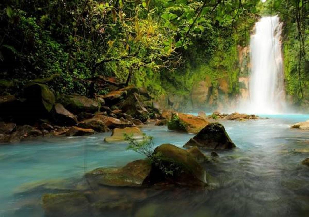 Hotel Tangara Arenal B&B La Fortuna Eksteriør billede